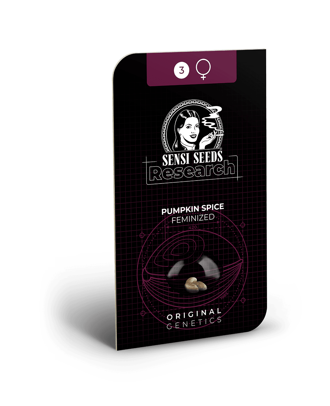 Pumpkin Spice Feminized Seeds - Image 2