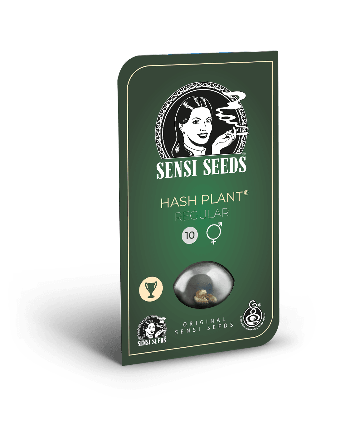 Hash Plant Regular Seeds - Image 2