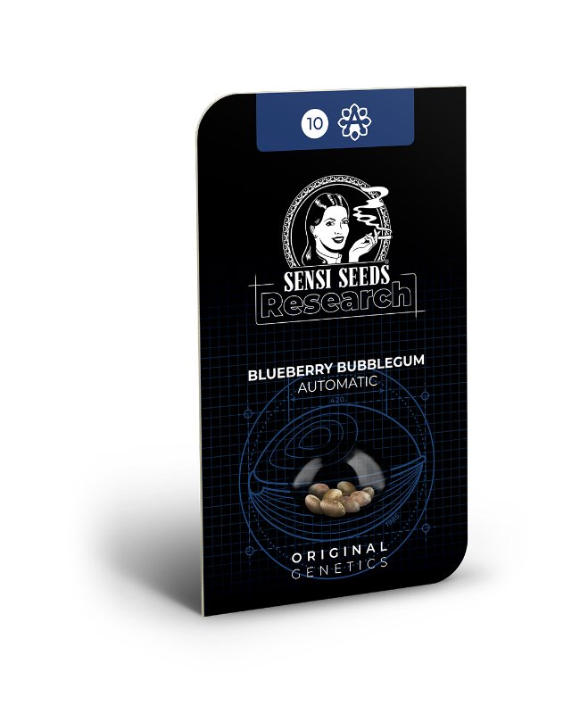 Blueberry Bubblegum Automatic Seeds - Image 2
