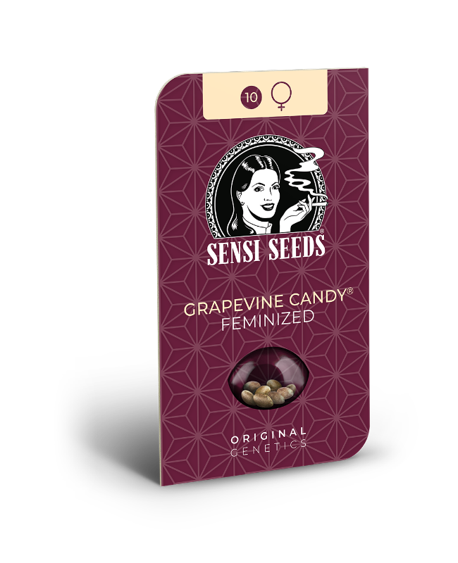 Grapevine Candy Feminized Seeds - Image 2