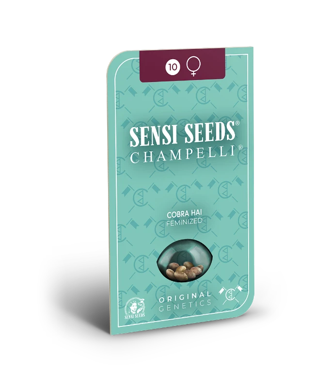 Cobra Hai Feminized Seeds - Image 2