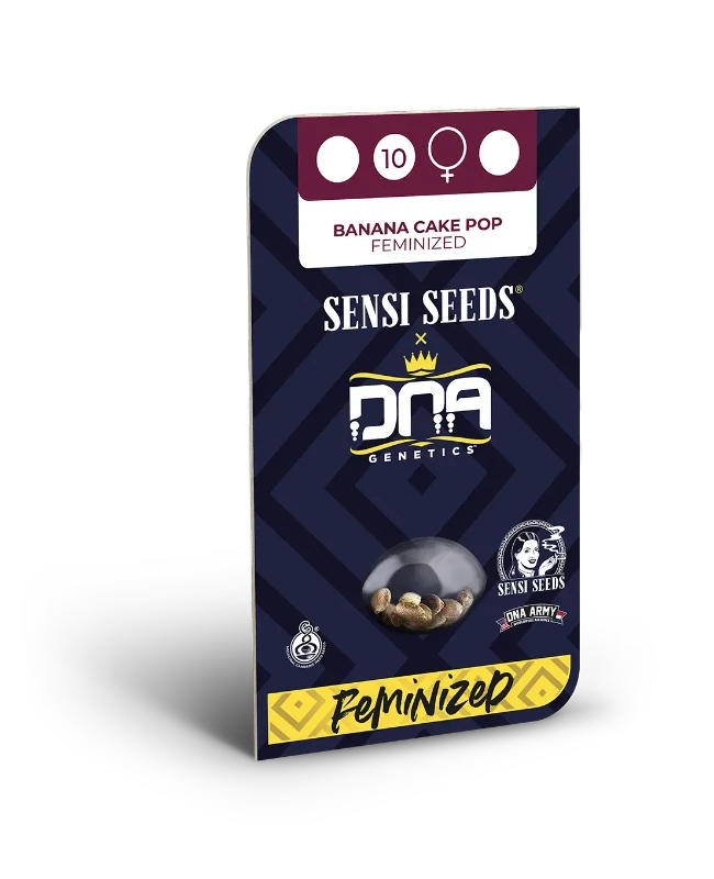 Banana Cake Pop Feminized Seeds - Image 2