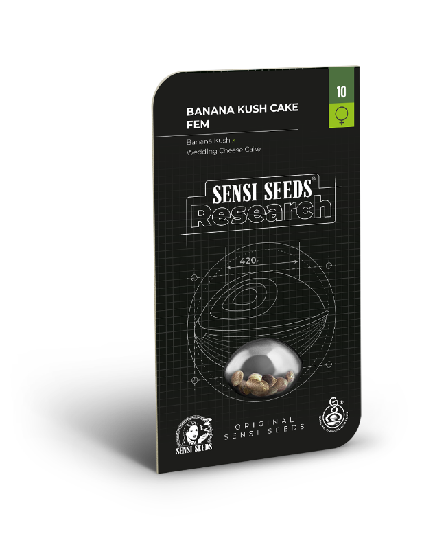 Banana Kush Cake Feminized Seeds - Image 2