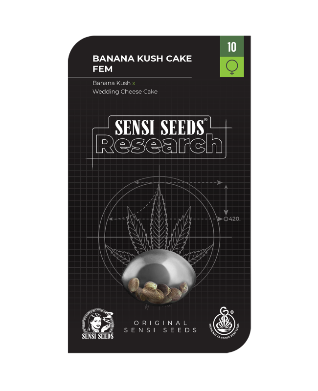 Banana Kush Cake Feminized Seeds - Image 3