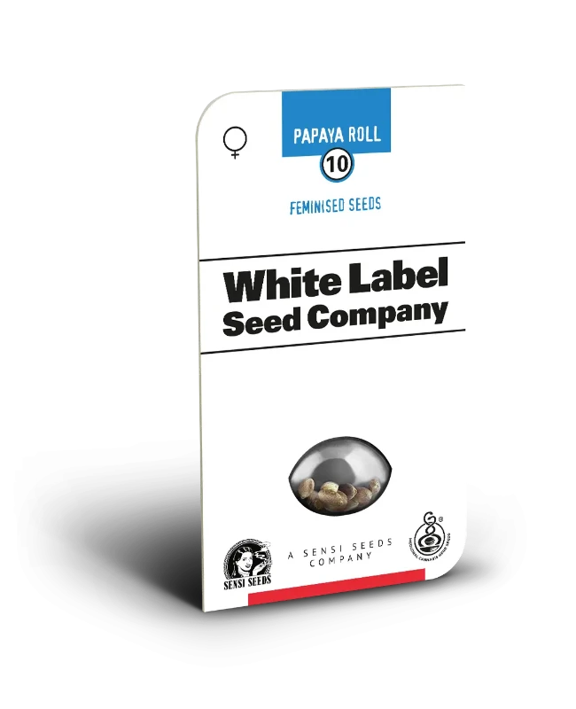 Papaya Roll Feminized Seeds - Image 2